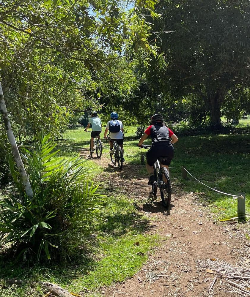 activity