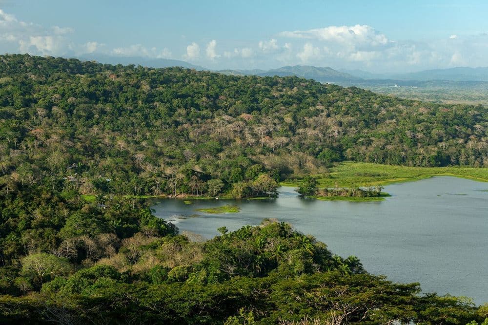 activity