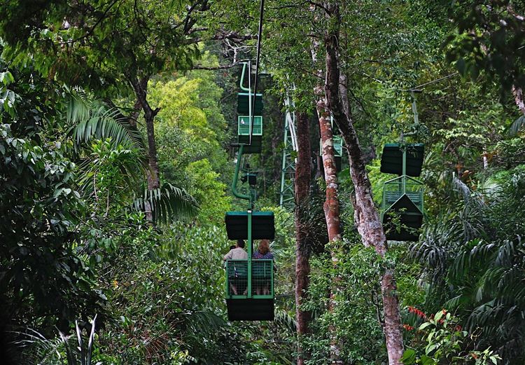 Rainforest Gondola in Gamboa